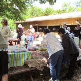 picnic 2016 (5)