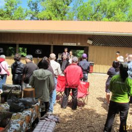 TBC Picnic at Camp Green Acres - June 2016